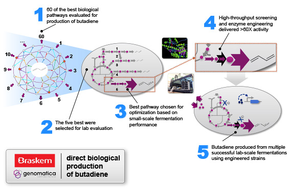 Direct-biological-production-of-butadiene-565px-1